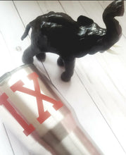 Load image into Gallery viewer, Stainless Steel Insulated Tumbler